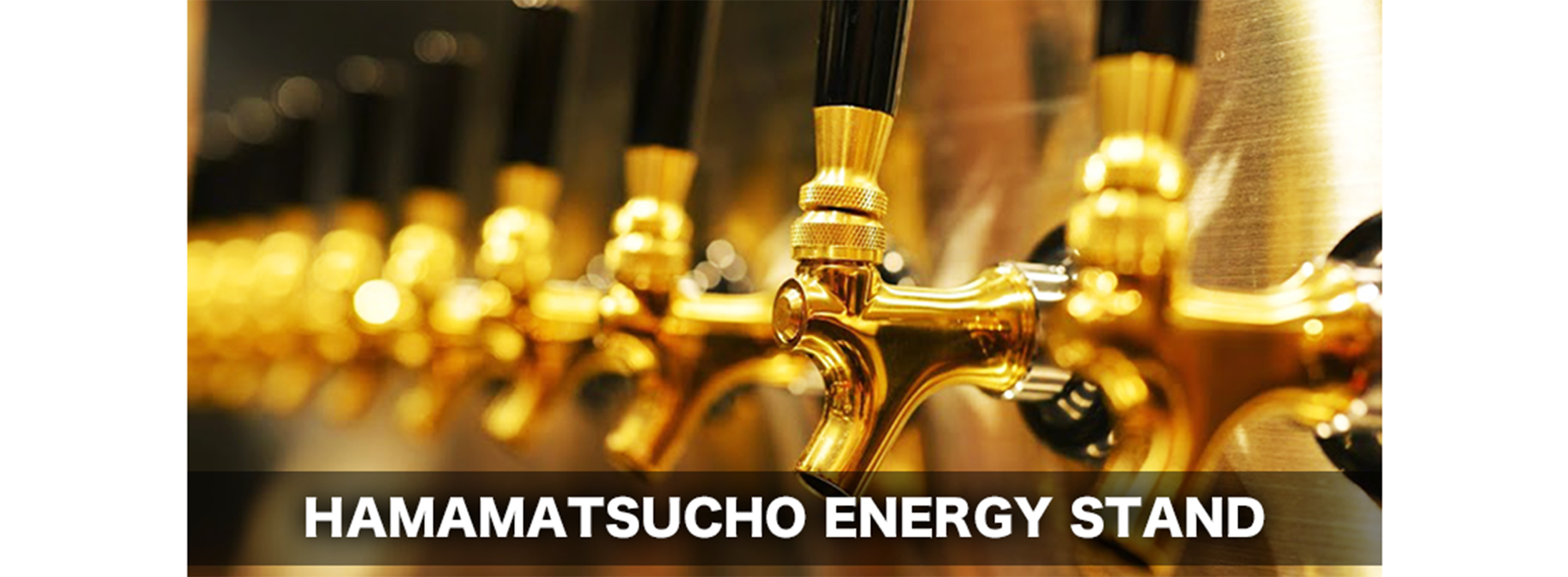 HAMAMATSUCHO ENERGY STAND
